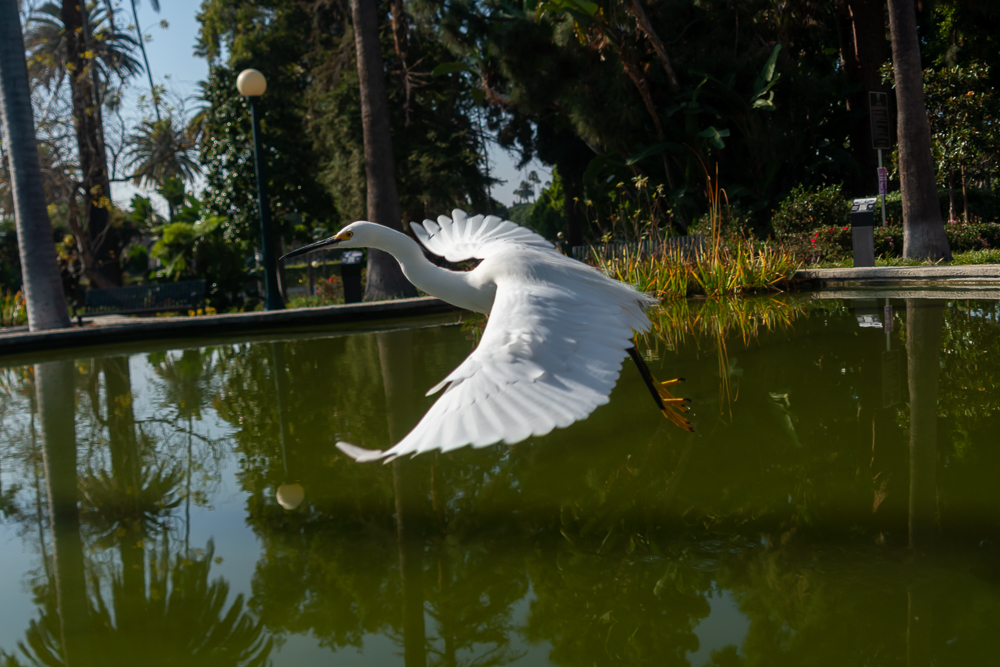 TestEgretSlideshow-10