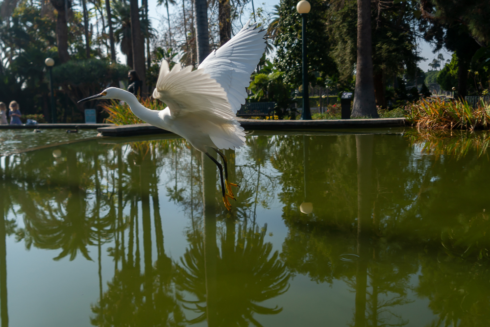 TestEgretSlideshow-12