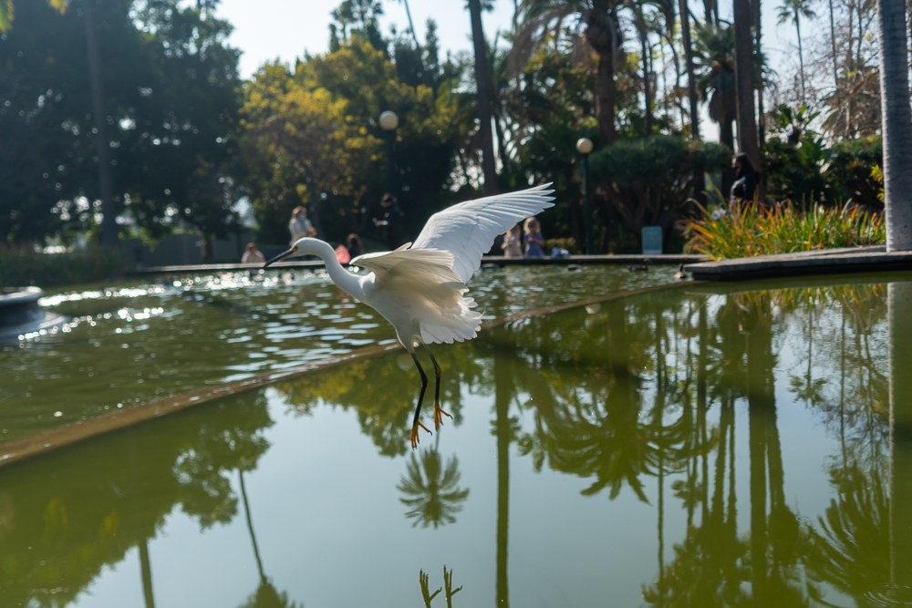TestEgretSlideshow-15