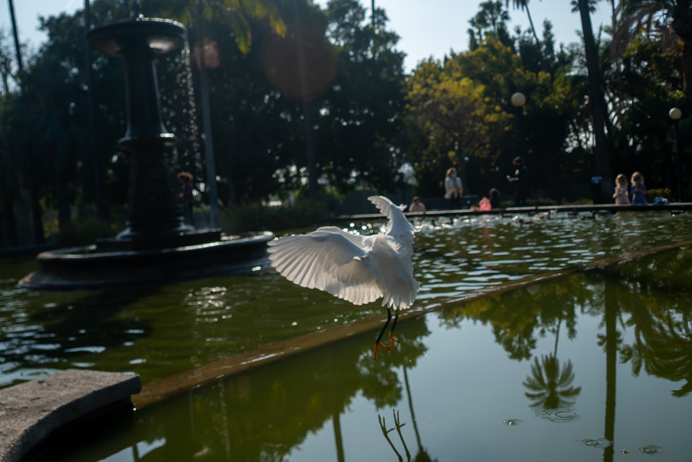 TestEgretSlideshow-17