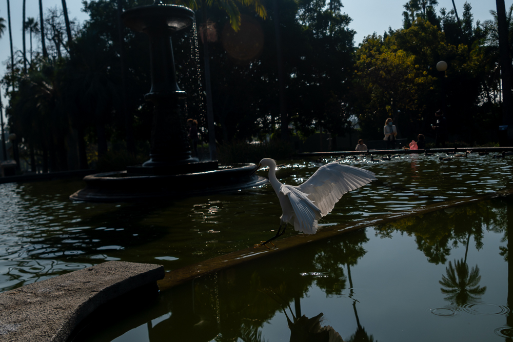 TestEgretSlideshow-18