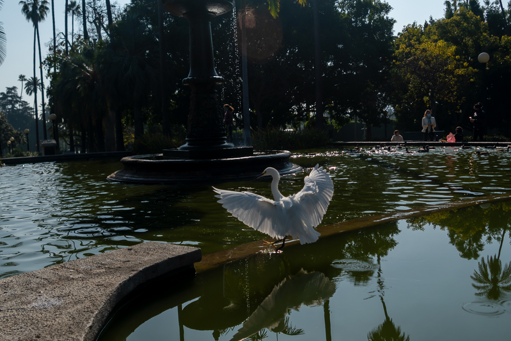TestEgretSlideshow-19