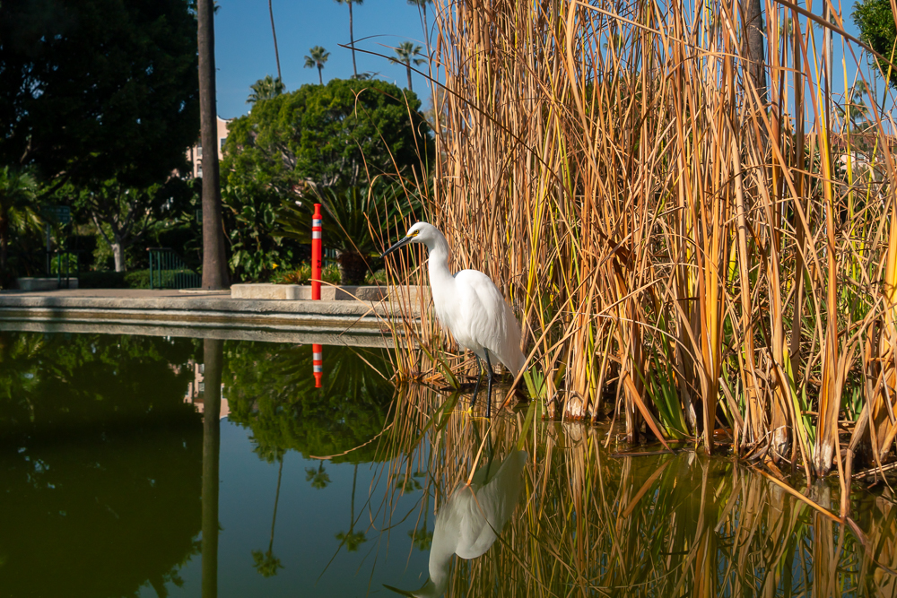 TestEgretSlideshow-2