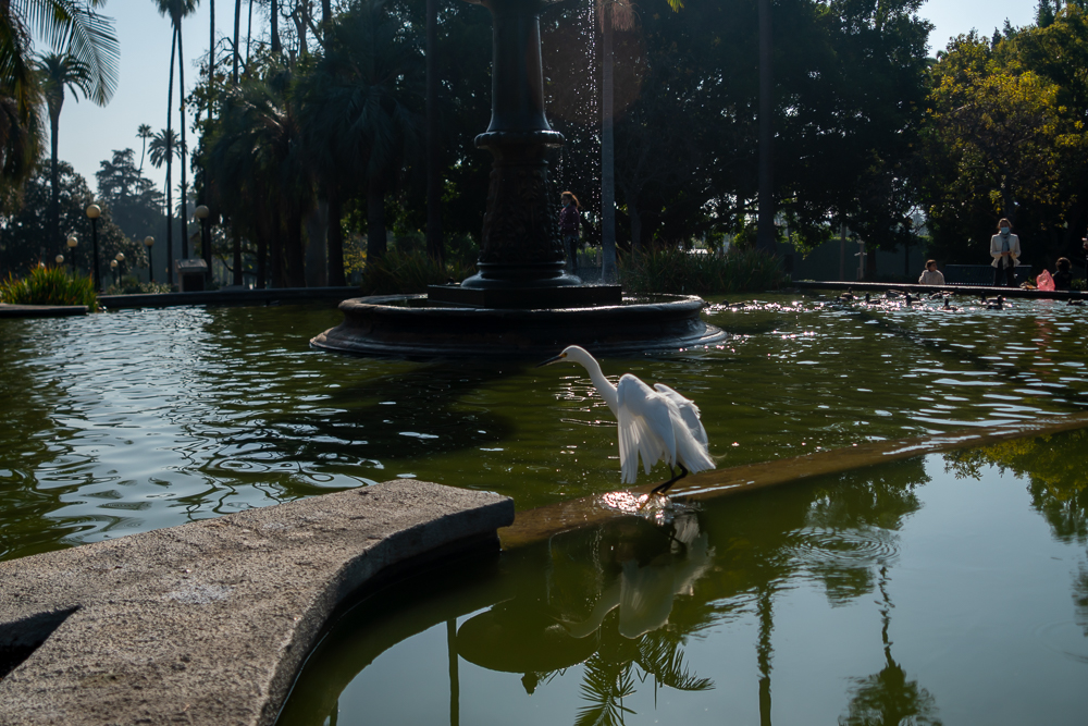 TestEgretSlideshow-20