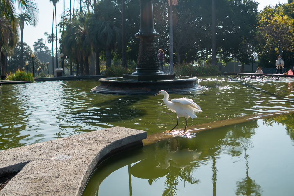 TestEgretSlideshow-21