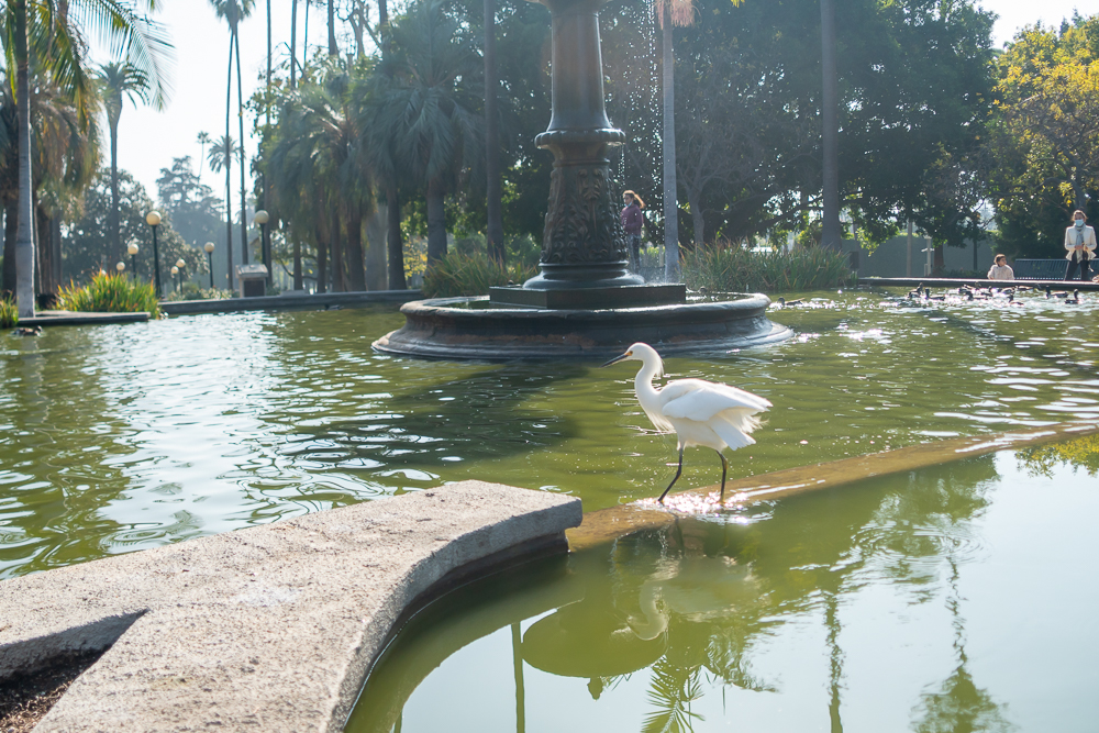 TestEgretSlideshow-22