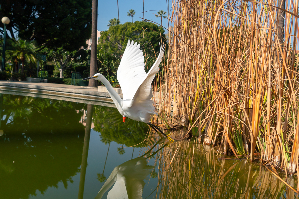 TestEgretSlideshow-5