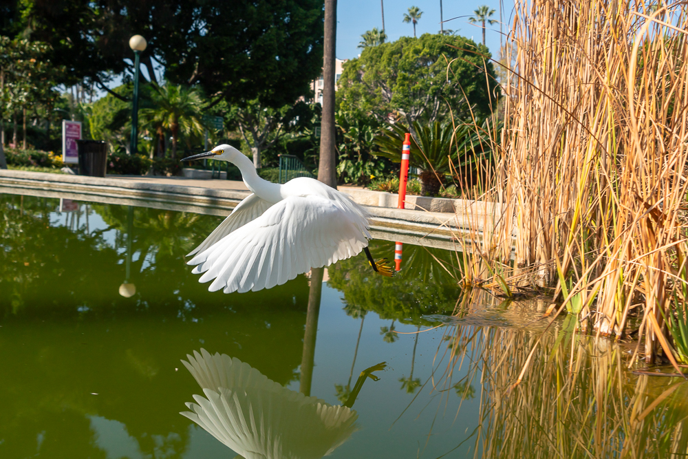 TestEgretSlideshow-6